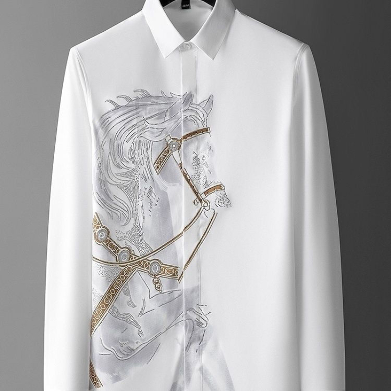 Dress White Shirts for Men Lon - Dress Shirt Non-Iron recension och pris